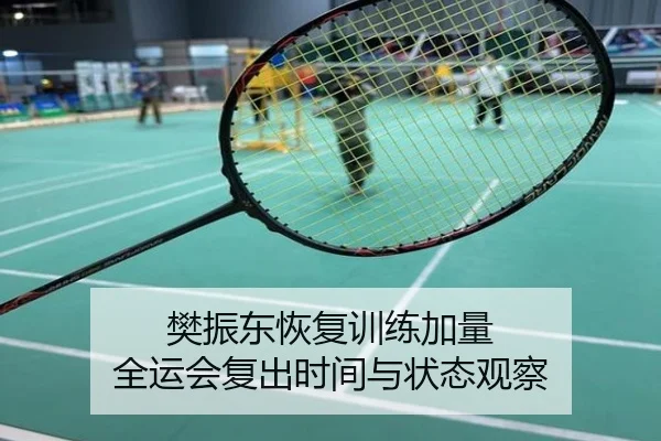 樊振东恢复训练加量 全运会复出时间与状态观察
